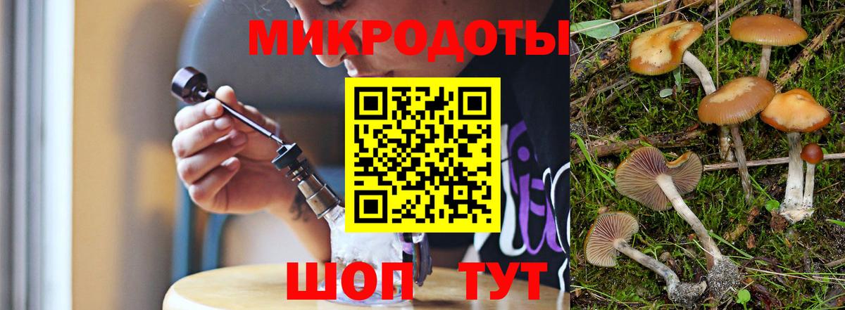 Псилоцибиновые грибы Psilocybe  Псилоцибиновые грибы Psilocybe  Вход с VPN  Изобильный 